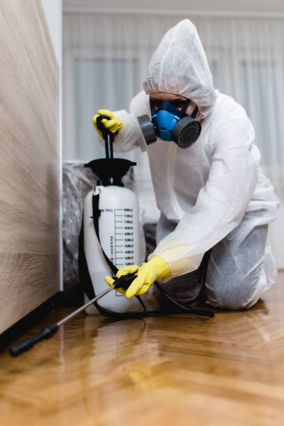 Best Termite Inspection and Treatment  in Dland, MI